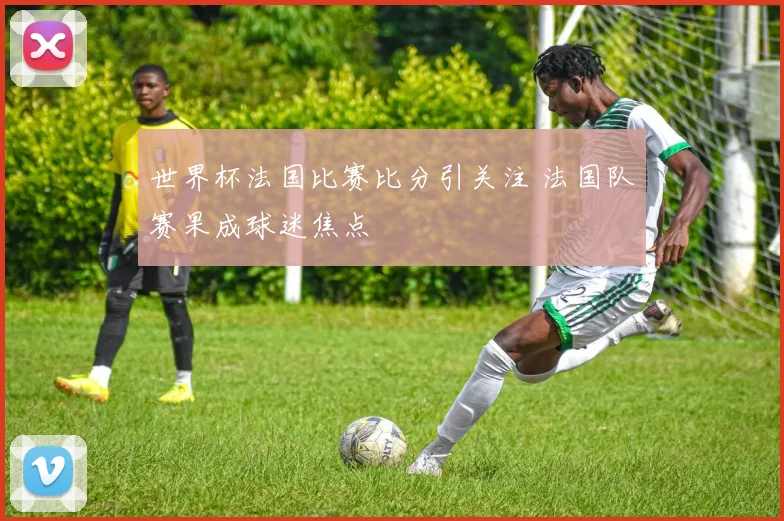 世界杯法国比赛比分引关注 法国队赛果成球迷焦点