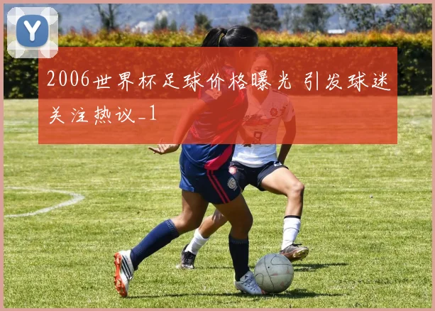 2006世界杯足球价格曝光 引发球迷关注热议_1