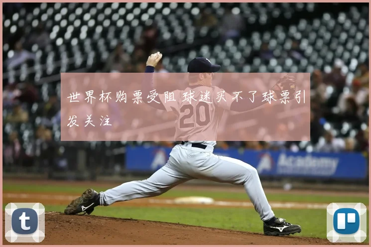 世界杯购票受阻 球迷买不了球票引发关注