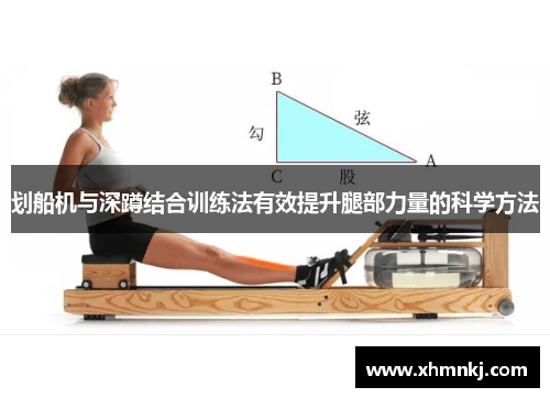 划船机与深蹲结合训练法有效提升腿部力量的科学方法
